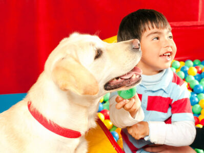 Using Dogs as Healers Image